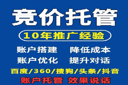 SEM代运营经典案例解析与启示